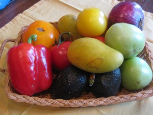 basketveg 011