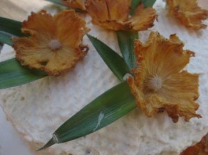 Dried Pineapple Flowers
